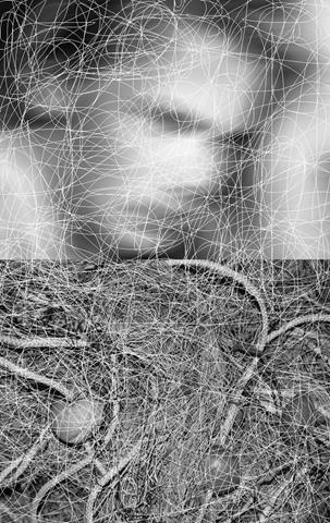 ASSEMBLAGE 6